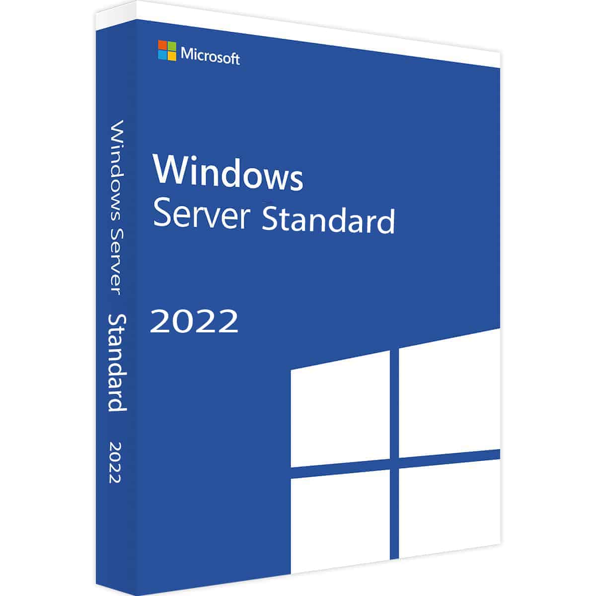 Windows Server 2022 Standard 5-Client Access License